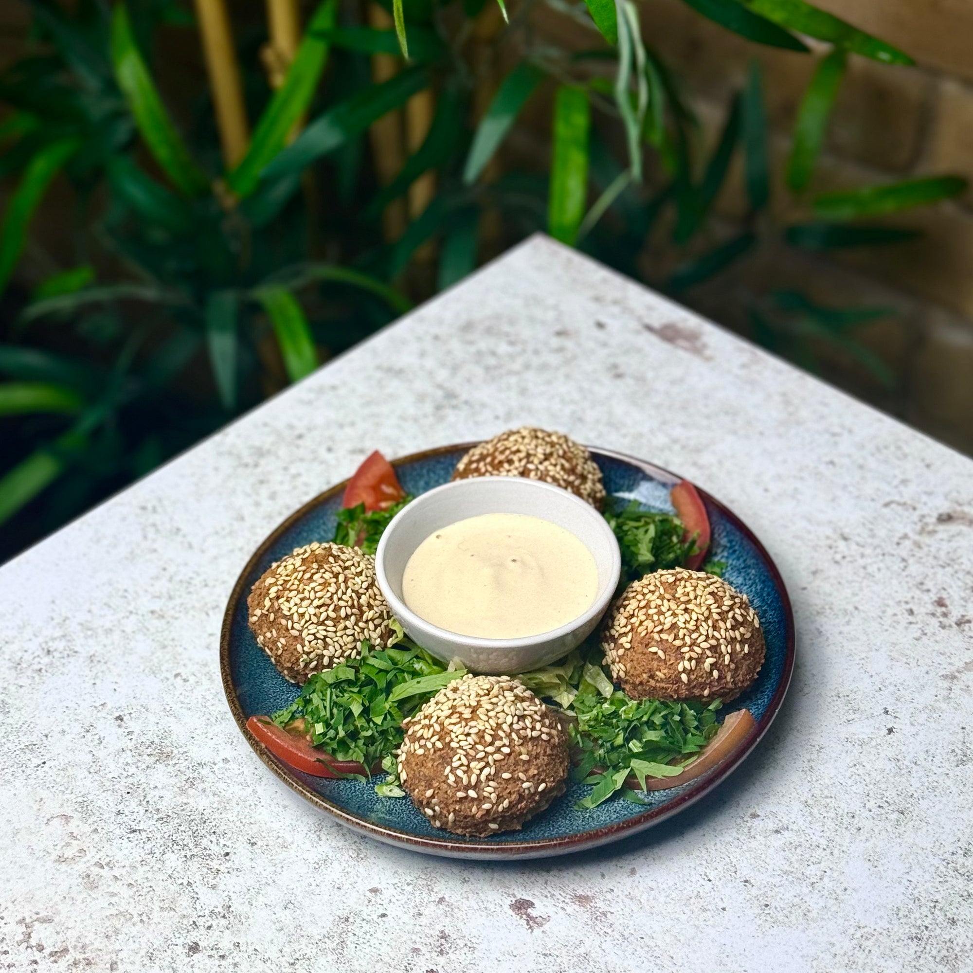 Falafel V VE